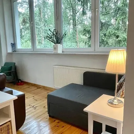 Beautiful With Garden In Villa